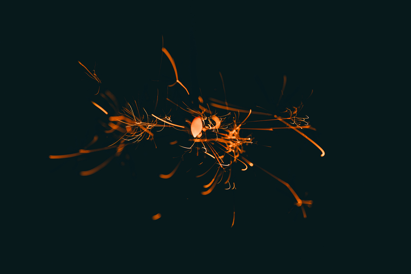 아티스틱 사진 (클릭하여 확대)