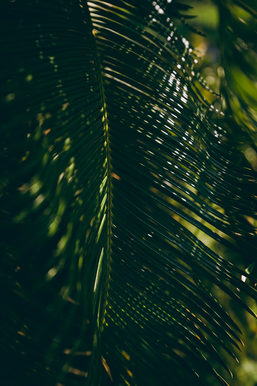 여행 사진 (클릭하여 확대)