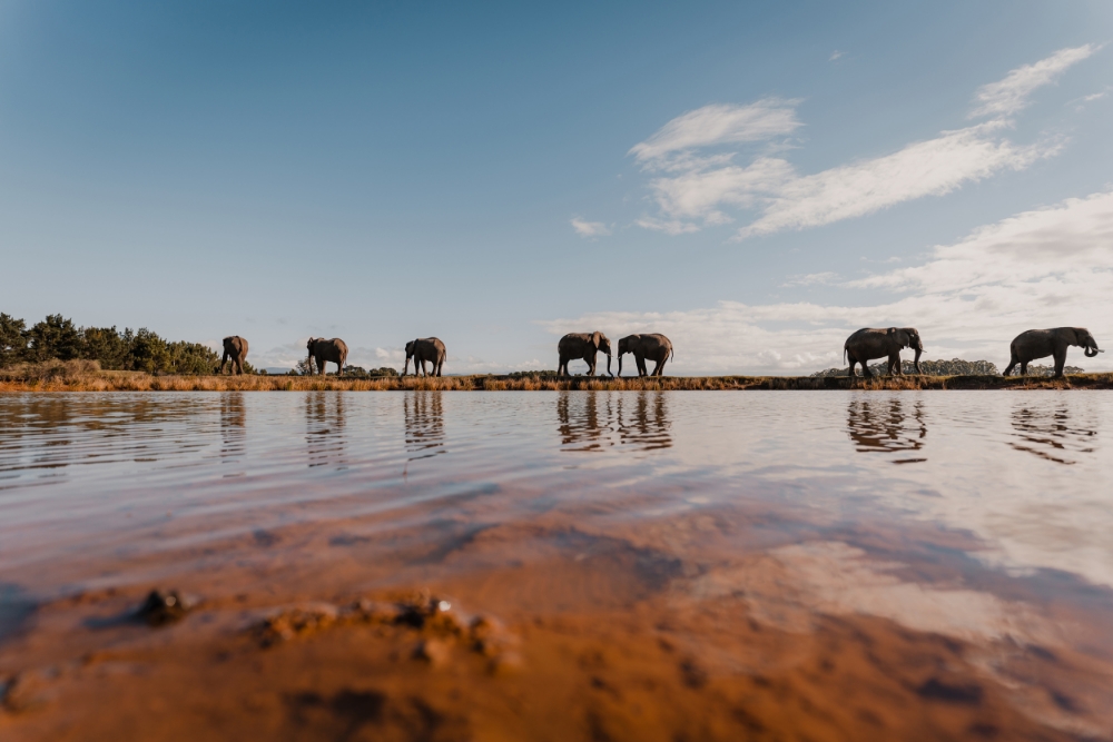  Photo taken by TAMRON Wide Angle Zoom Lens 