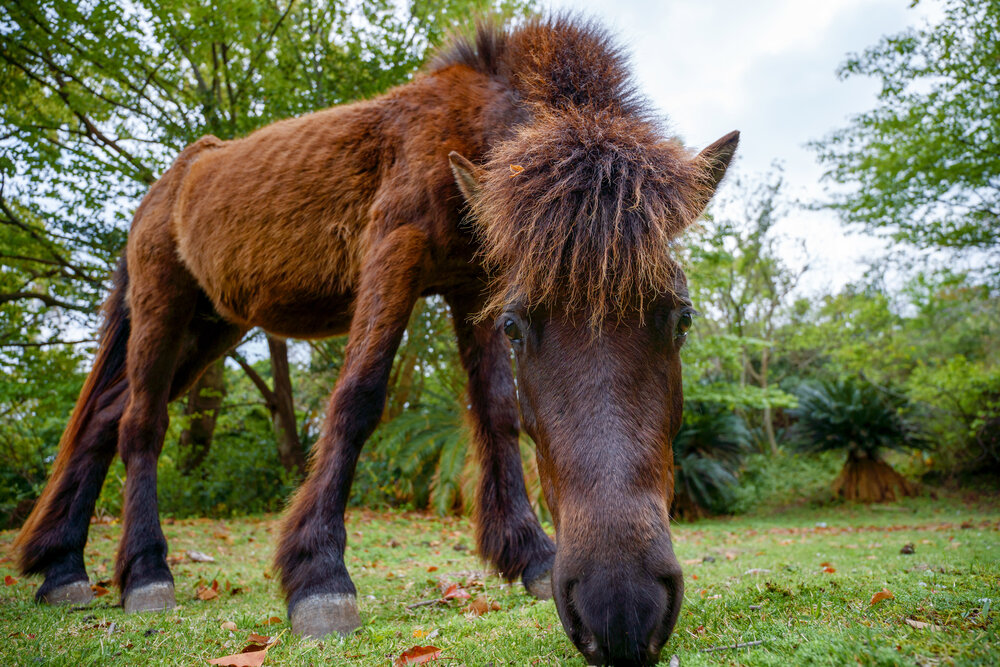  Photo taken by TAMRON Wide Angle Zoom Lens 
