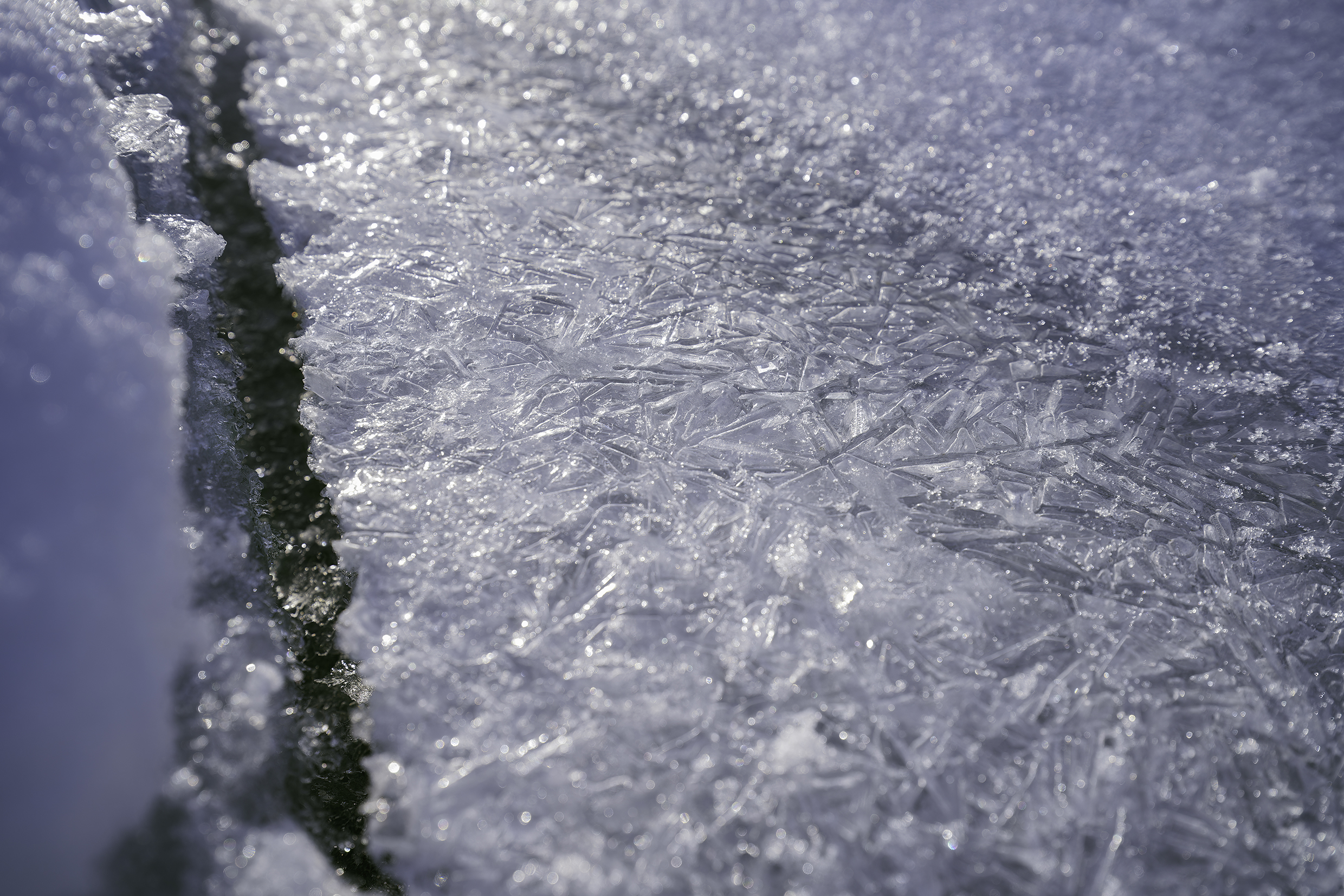  Photo taken by TAMRON Wide Angle Zoom Lens 