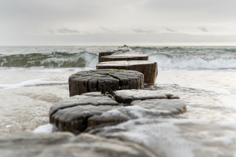 Photo taken by TAMRON All-in-one Zoom lens