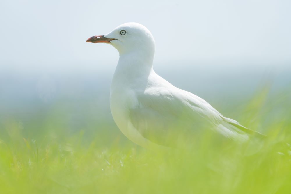 Photo taken by TAMRON All-in-one Zoom lens