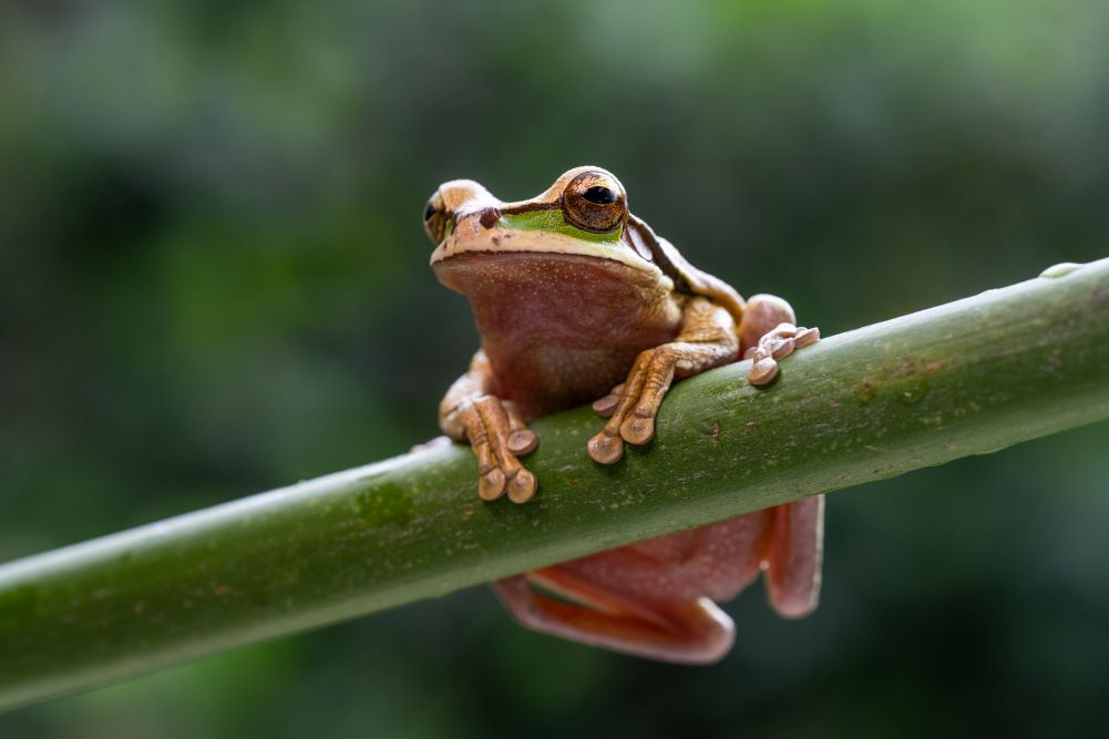  Photo taken by TAMRON Fixed Focal lens