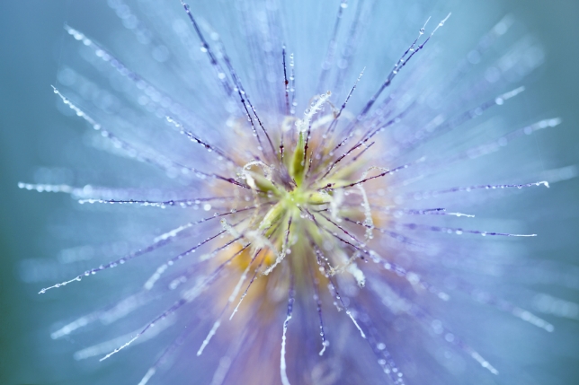 사용 렌즈: Model F017<br>초점거리: 90mm<br>노출: F4 1/125초