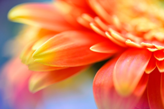 사용 렌즈: Model F017<br>초점거리: 90mm<br>노출: F5.6 1/3초