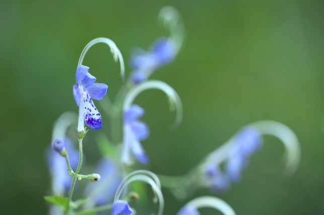 사용 렌즈: Model F017<br>초점거리: 90mm<br>노출: F2.8 1/100초