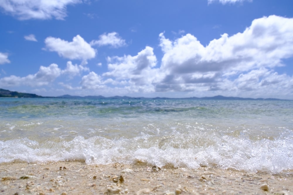 TAMRON 18-300mm F3.5-6.3 (Model B061)　초점거리: 18mm　조리개: F3.5　셔터스피드: 1/3000초　ISO: 160