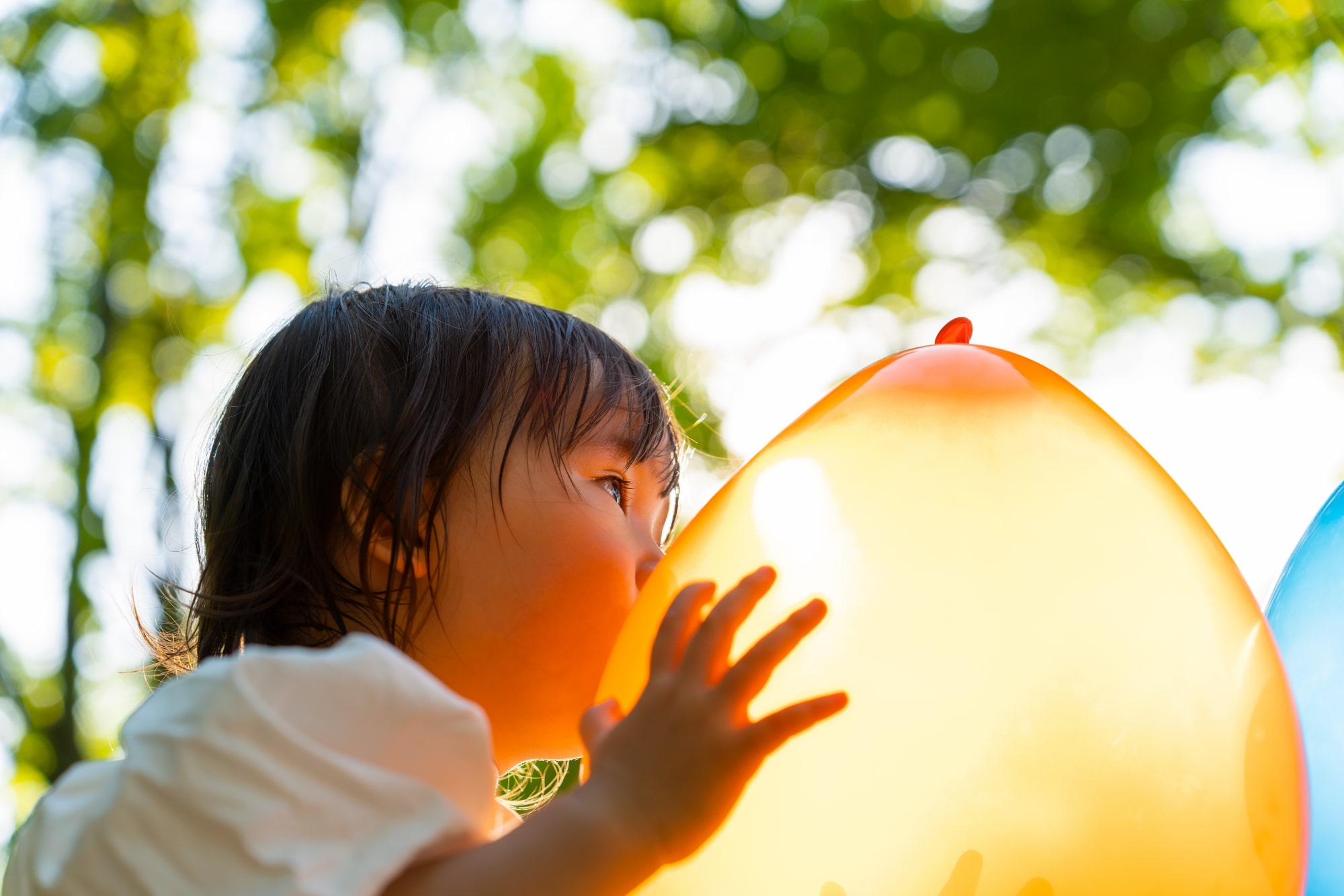 TAMRON 28-75mm F2.8 G2 (Model A063)　초점거리: 74mm　조리개: F4　셔터스피드: 1/500초　ISO: 200