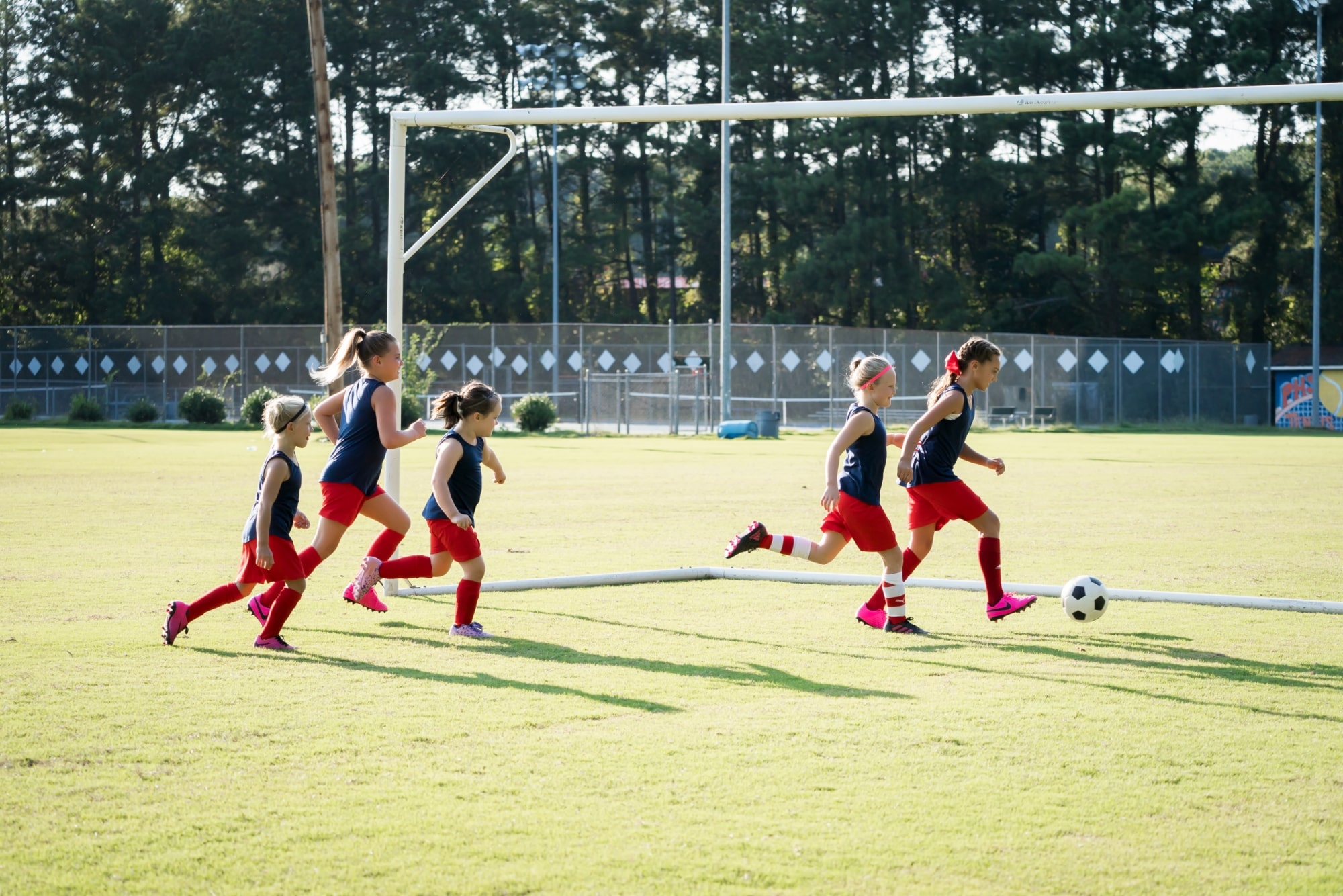 TAMRON 70-300mm F4.5-6.3 (Model A047)　초점거리: 70mm　조리개: F4.5　셔터스피드: 1/1250초　ISO: 500