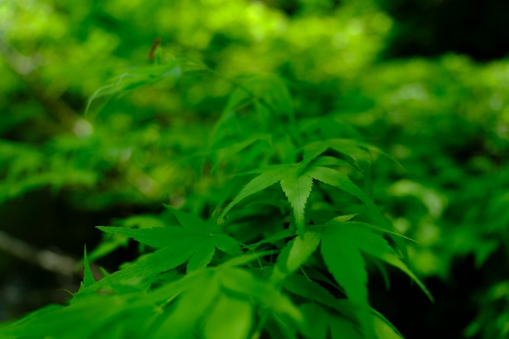 TAMRON 17-70mm F2.8 (Model B070)　초점거리: 17mm　조리개: F2.8　셔터스피드: 1/640초　ISO: 160