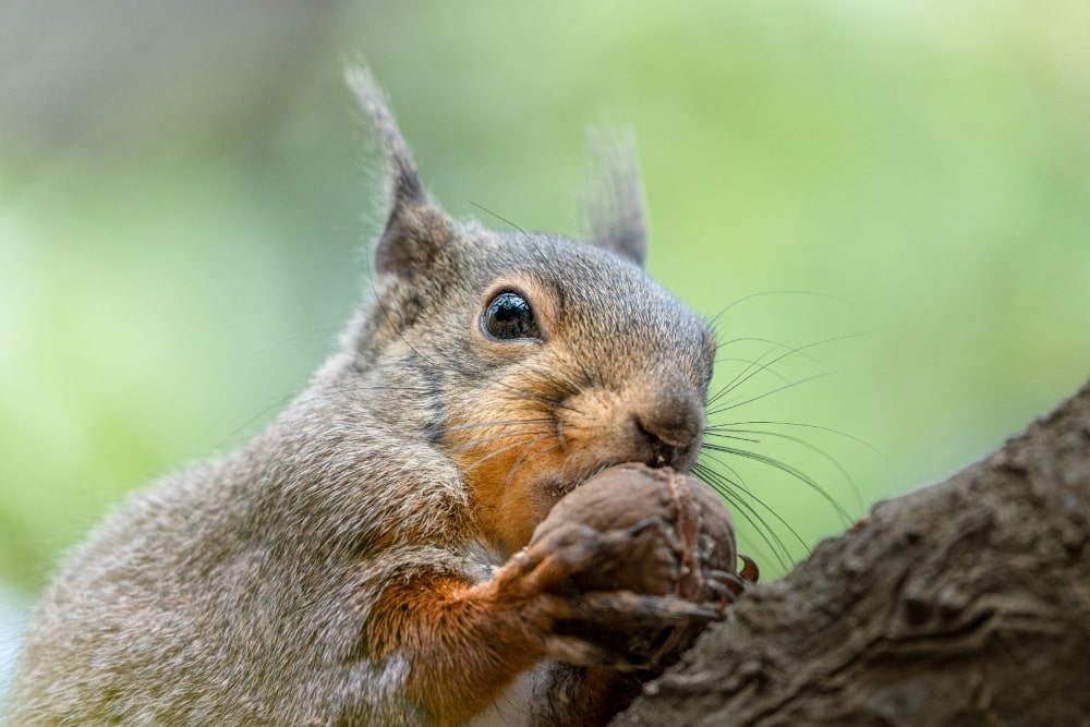 TAMRON 50-400mm F4.5-6.3 (Model A067)　초점거리: 400mm　조리개: F6.3　셔터스피드: 1/640초　ISO: 640