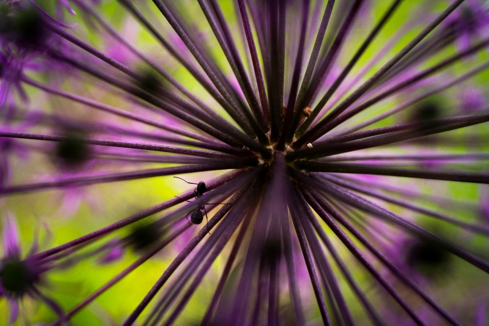 TAMRON 50-400mm F4.5-6.3 (Model A067)　초점거리: 50mm　조리개: F4.5　셔터스피드: 1/2000초　ISO: 640