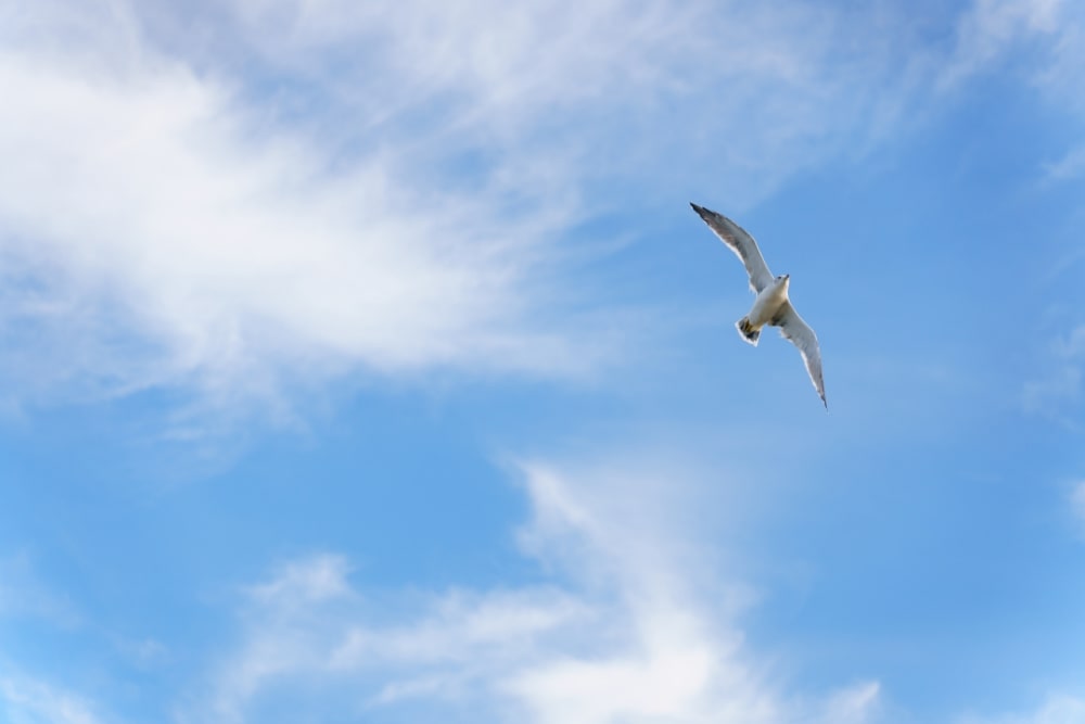 TAMRON 28-75mm F2.8 G2 (Model A063)　초점거리: 75mm　조리개: F2.8　셔터스피드: 1/5000초　ISO: 200