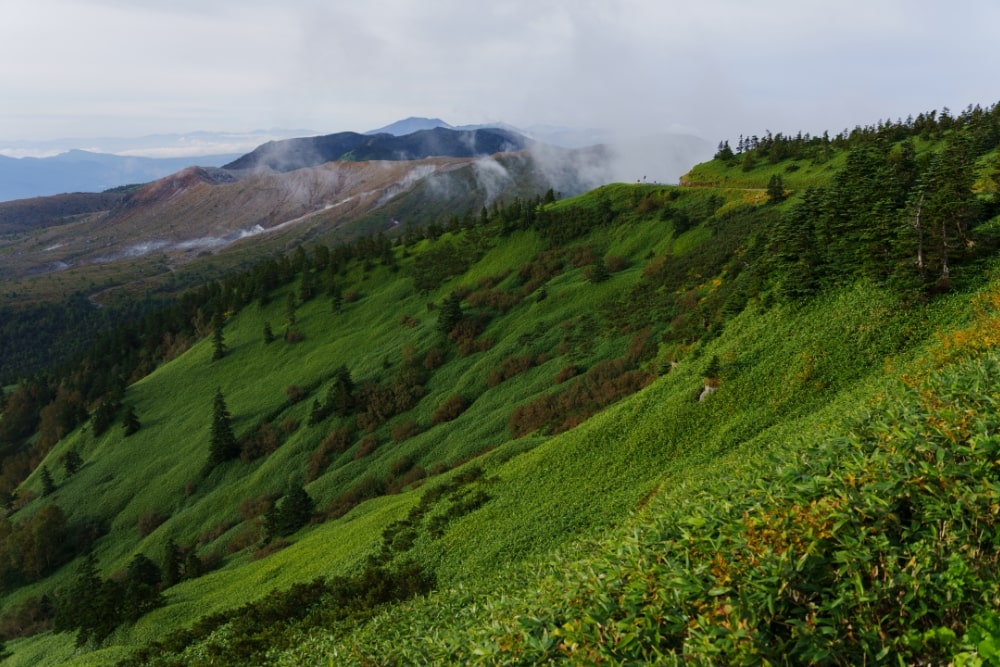 TAMRON 28-75mm F2.8 G2 (Model A063)　초점거리: 28mm　조리개: F2.8　셔터스피드: 1/1000초　ISO: 100