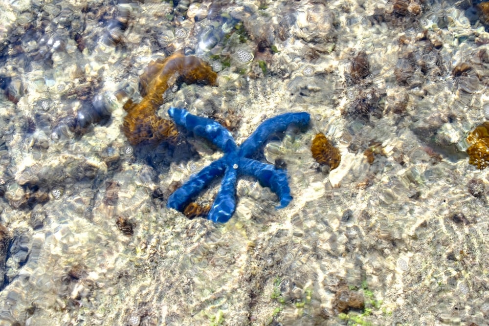 TAMRON 18-300mm F3.5-6.3 (Model B061)　초점거리: 32.1mm　조리개: F8　셔터스피드: 1/105초　ISO: 160