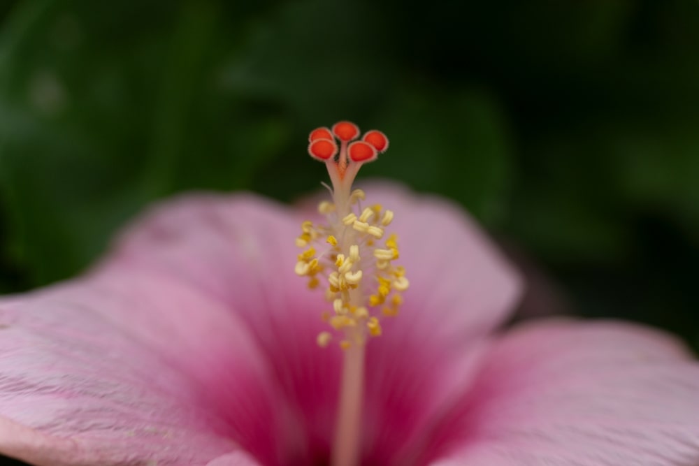 TAMRON 50-300mm F4.5-6.3 (Model A069)　초점거리: 50mm　조리개: F4.5　셔터스피드: 1/60초　ISO: 800