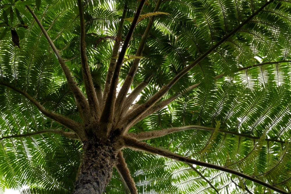 TAMRON 50-300mm F4.5-6.3 (Model A069)　초점거리: 130mm　조리개: F8　셔터스피드: 1/60초　ISO: 800