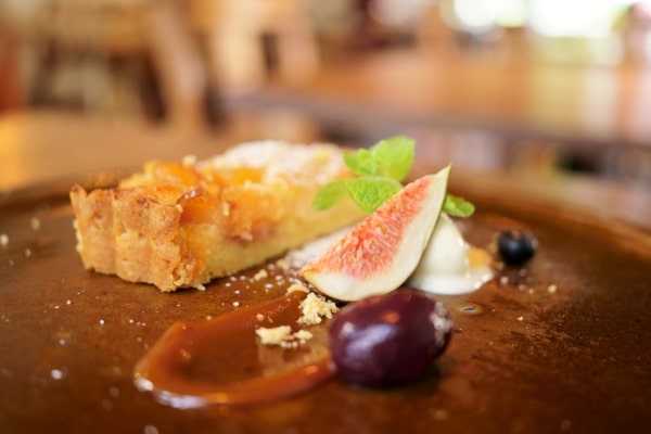 아름다운 배경 흐림