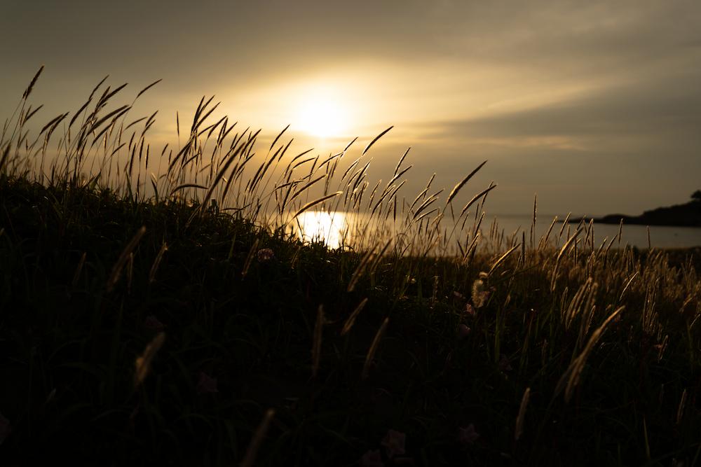 TAMRON 16-30mm F2.8 G2 (Model A064)　초점거리：30mm　조리개：F2.8　셔터 속도：1/8000초　ISO：100