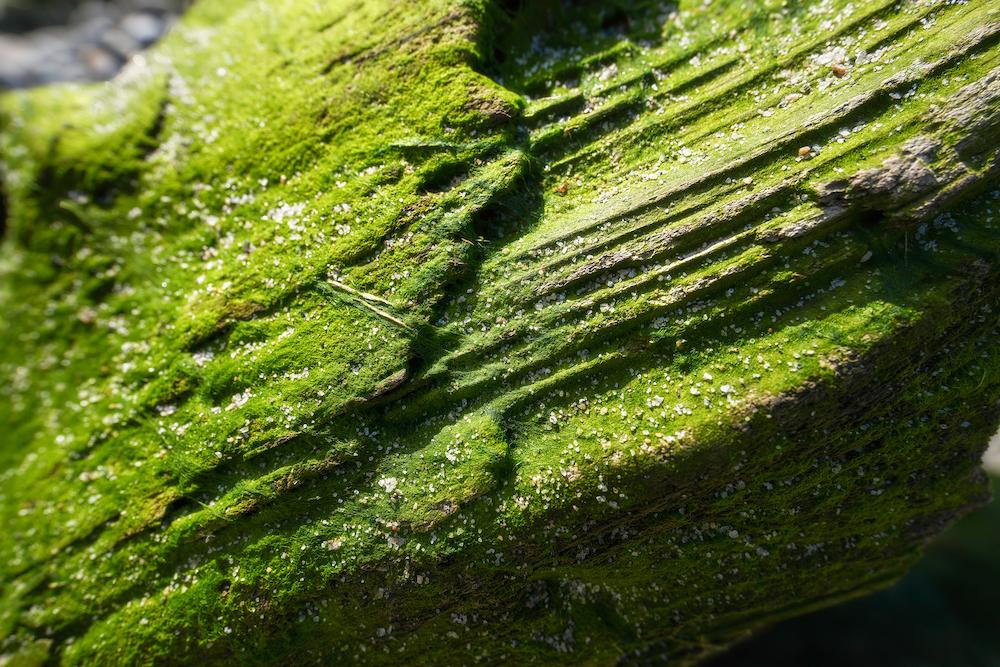 TAMRON 16-30mm F2.8 G2 (Model A064)　초점거리：16mm　조리개：F5.6　셔터 속도：1/640초　ISO：100