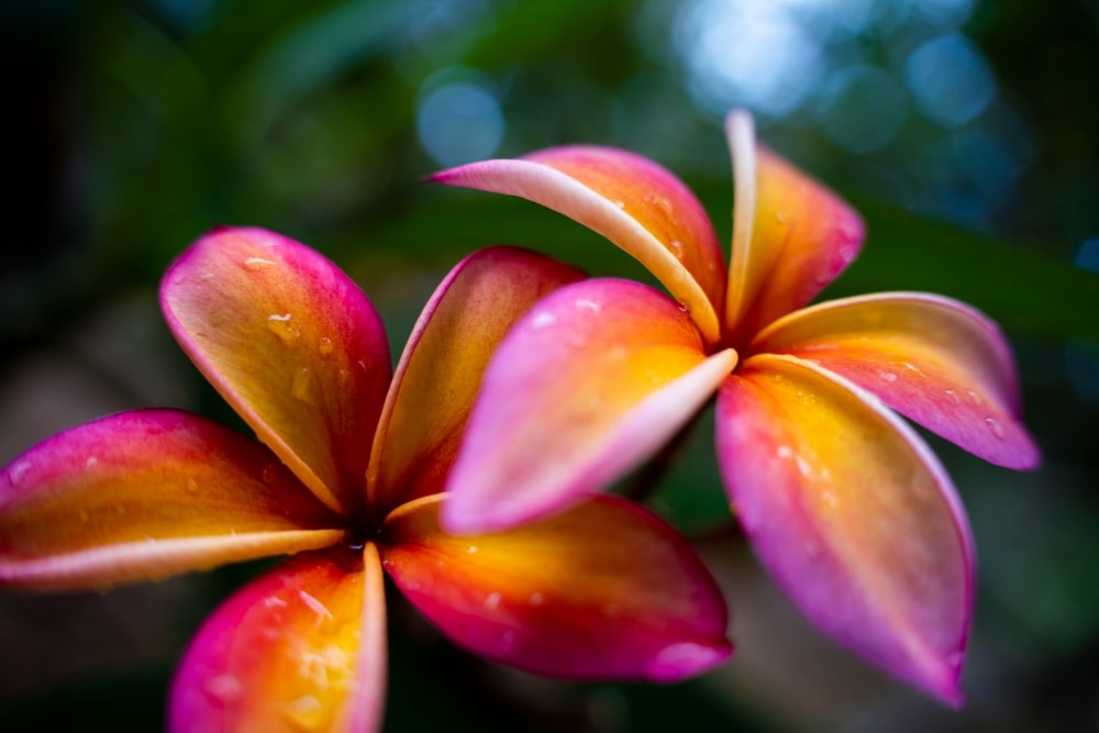 TAMRON 28-75mm F2.8 G2 (Model A063)　초점거리：28mm　조리개：F2.8　셔터 속도：1/1250초　ISO：400