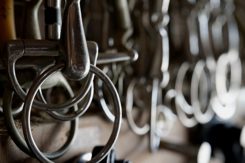 TAMRON 70-180mm F2.8 G2 (Model  A065)　초점거리：70mm　조리개：F4.5　셔터 속도：1/8초　ISO：100