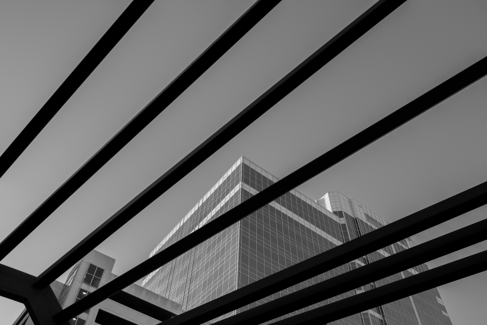 TAMRON 광각 줌 렌즈로 촬영한 사진