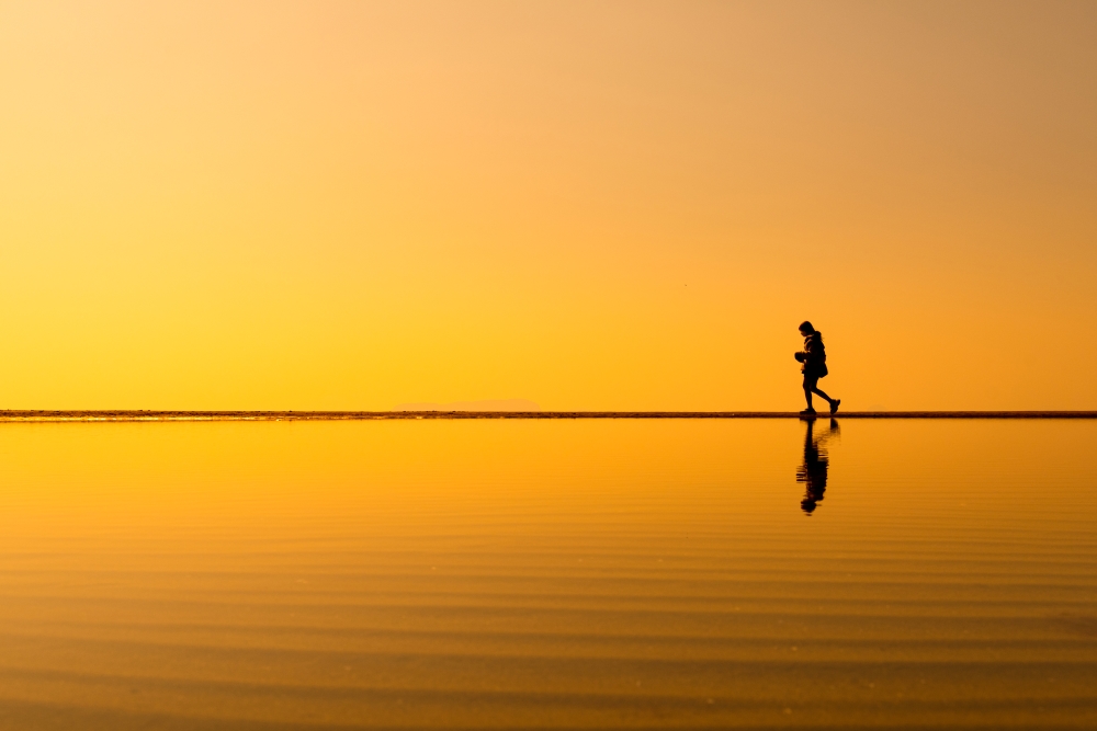 TAMRON 표준 줌 렌즈로 촬영한 사진