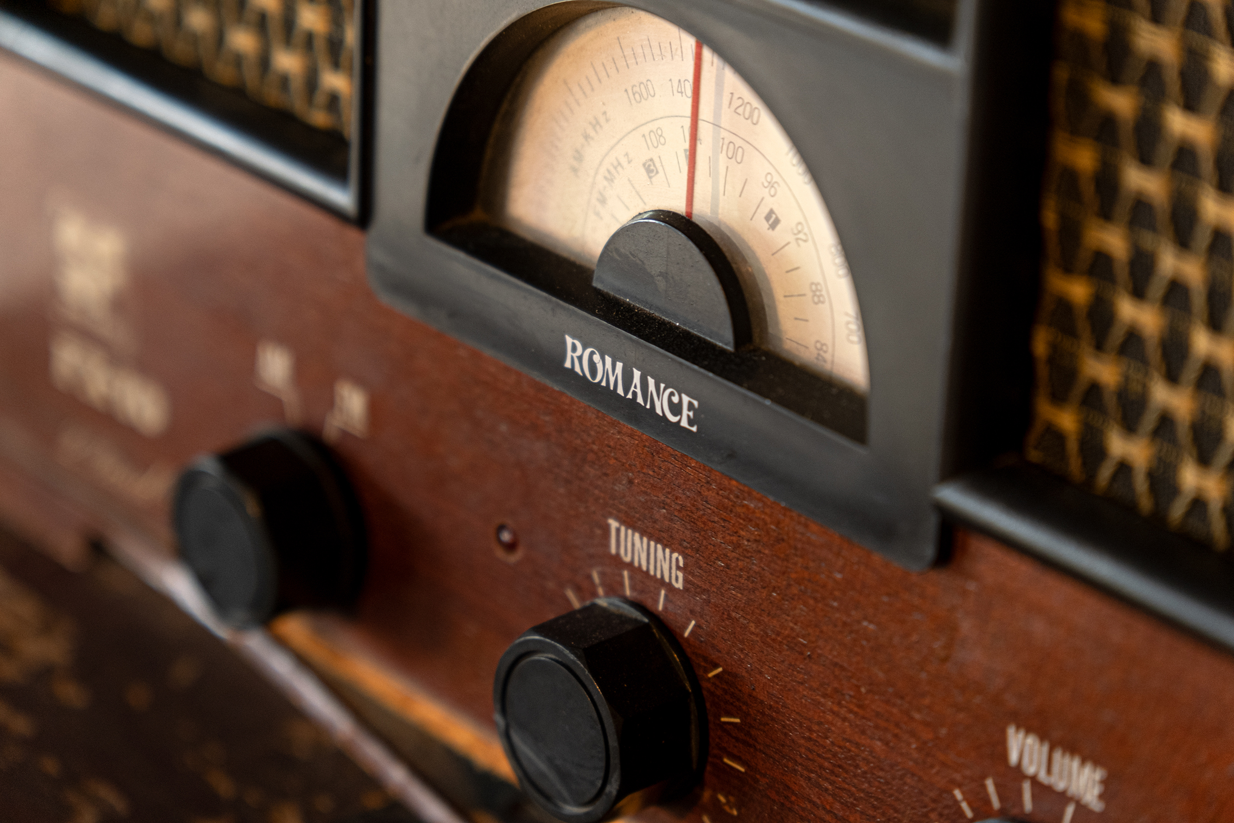 TAMRON 표준 줌 렌즈로 촬영한 사진