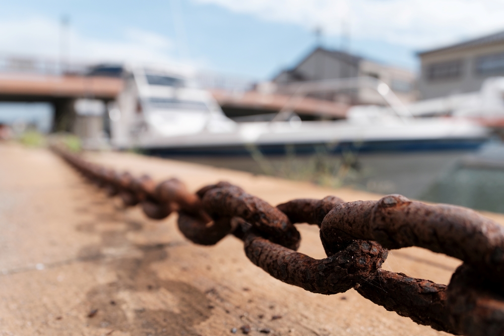 TAMRON 고배율 줌 렌즈로 촬영한 사진