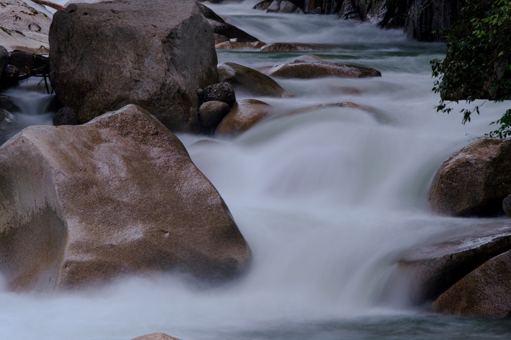 TAMRON 고배율 줌 렌즈로 촬영한 사진