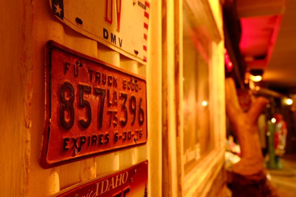 TAMRON 고배율 줌 렌즈로 촬영한 사진