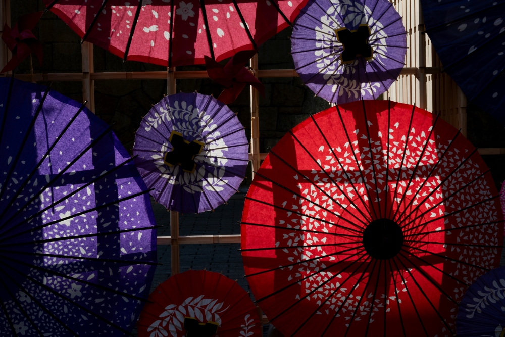 Photo taken by TAMRON Standard Zoom Lens