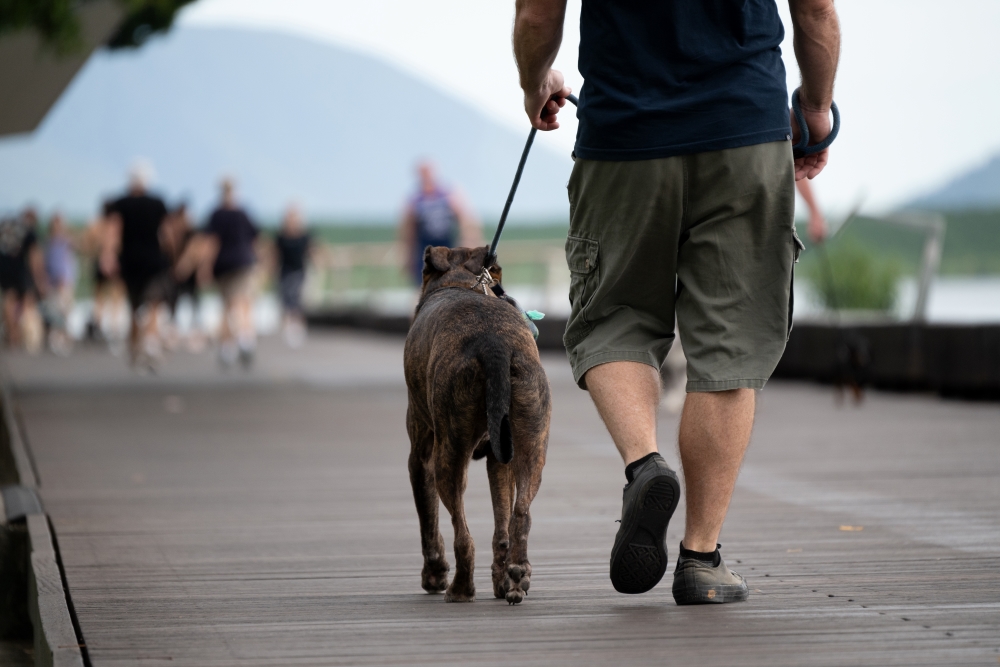 Photo taken by TAMRON Ultra-telephoto Zoom lens